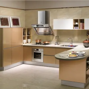 新设计的漆厨房设置与微波炉插入内阁