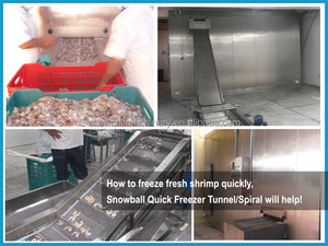 Frozen <span class=keywords><strong>concombre</strong></span> de mer congélateur, Industrielle rapide gel machine, Frais boeuf agneau Frozen machine - Product Image 3