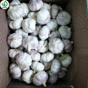 Nueva China ajo blanco fresco encurtidos ajo almacenamiento a guinea - Product Image 2