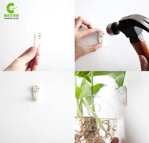 Macetas Colgantes de Pared, Terrarios de Vidrio, Recipientes Redondos para Plantas de Aire, Globos para Suculentas - Product Image 4