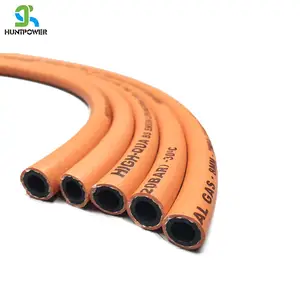 Sợi Bện Gia Cố 300psi Cao Su LPG Khí Tự Nhiên Hose Propane Hose Cho Công Nghiệp Hoặc Gia Đình Sử Dụng