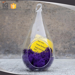 <span class=keywords><strong>Terrarium</strong></span> en verre à bas prix pour plantes aériennes et succulentes - Product Image 2