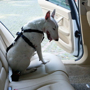 Voiture de luxe Gilet De Sécurité Chien Harnais Gilet De Dressage Pour Chien De Voyage Véhicule Harnais Pour Animaux De Compagnie Avec Ceinture de sécurité - Product Image 3