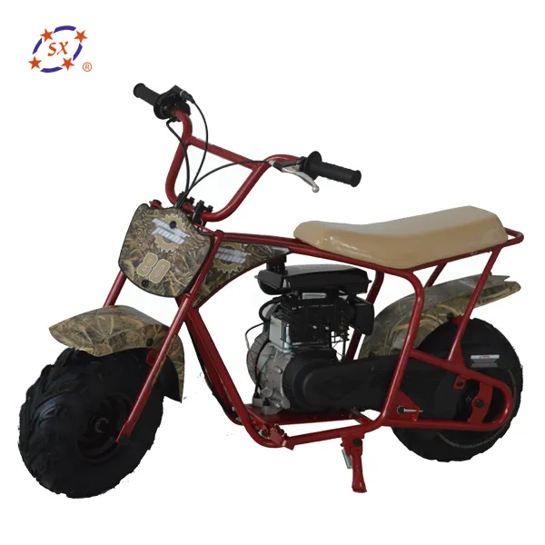 Volwassen Mini Bikes