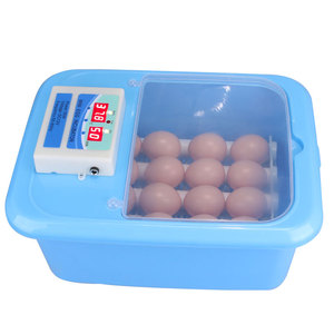 <span class=keywords><strong>12</strong></span> Quả Trứng Ấp Trứng Tự Động Chất Lượng Cao - Product Image 2