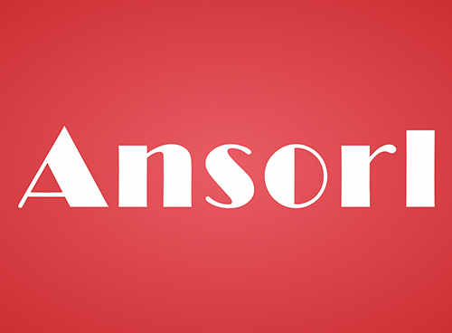 Shenzhen Ansorl Technology Co., Ltd. logo