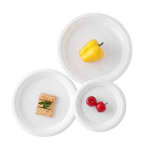 2025 cấp thực phẩm phân hủy sinh học compostable bột Bộ Đồ Ăn 10 mía bã mía phân hủy sinh học bữa ăn tối tấm - Product Image 6