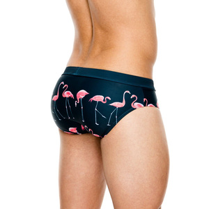 Maillot de bain pour homme, slip de bain pour homme, slip de bain flamant rose, bikini taille basse, poche pour pénis, maillot de bain homme, maillot de bain sexy, short de surf - Product Image 3