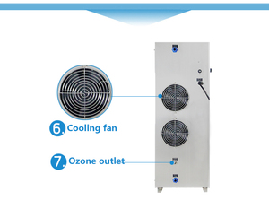 Générateur d'ozone électrolytique d'étang koi 30g dans le traitement de l'eau - Product Image 4
