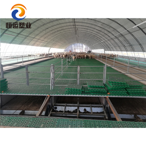 Nuevo Suelo <span class=keywords><strong>de</strong></span> Láminas <span class=keywords><strong>de</strong></span> Plástico PP EPS30R <span class=keywords><strong>de</strong></span> Alto Impacto, Color Verde, 50*60cm, 6 Piezas/Paquete, para Granjas <span class=keywords><strong>de</strong></span> <span class=keywords><strong>Cabras</strong></span>, Ovejas y Cerdos, con Capacidad <span class=keywords><strong>de</strong></span> 200-300kg - Product Image 5