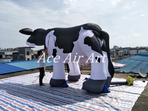 Hermoso modelo de globo inflable de vacas lecheras holandesas de 5m de largo y 3m de altura fabricado en China para publicidad de fiestas y eventos - Product Image 6