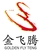 Shenzhen Golden Fly Teng Jewelry Co., Ltd. logo