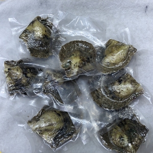 กลุ่มขายส่งผสมสี6-8มิลลิเมตรสูญญากาศบรรจุ Akoya มุกหอยนางรมมุกมุก Quads รอบไข่มุกสำหรับเสน่ห์เครื่องประดับ