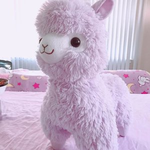 Peluche personalizado de San Valentín para niños, <span class=keywords><strong>animal</strong></span> de peluche, venta al por mayor, regalo de San Valentín - Product Image 5