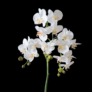 ผ้าไหมโพลีเอสเตอร์คุณภาพสูง Orchid สำหรับตกแต่งบ้าน