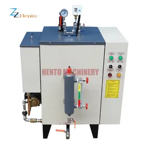 Export all over world Mini Electric Steam Generator Mini Steam Boiler Sale hot For clip irons and laundries