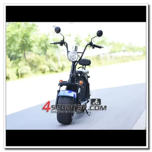 2x1500W big power electric standing scooter with dual disc braking