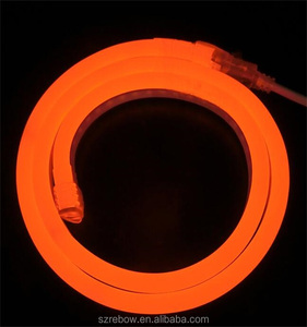 Hochwertige bunte IP 68 RGBW 12V 24V Flex LED Neon