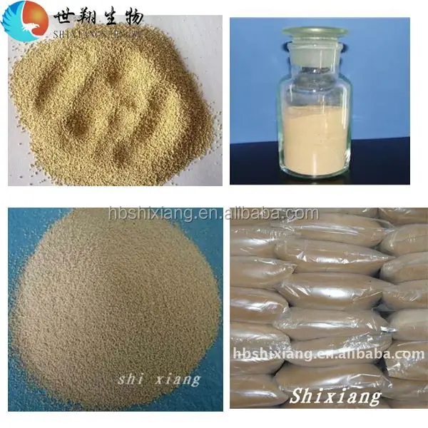 high protein instant dry yeast for animal feed