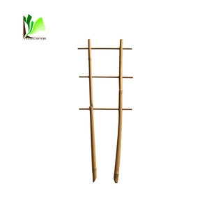 Treillis central en bambou, différents Design, pour pépinière, plantes grimpantes - Product Image 5