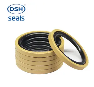 Oil Seal Manufacturer Hydraulic Piston Seal Glyd NBR PTFE Piston Mobile Pneumatic Hydraulic