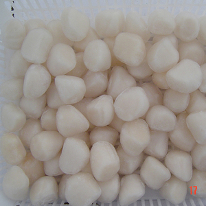Kerang Beku 40 60 - Product Image 3