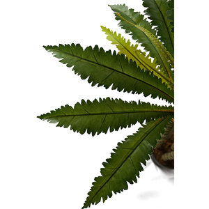 1.9m nid fougère plastique fausse fougère plante artificielle pour intérieur décor à la maison - Product Image 3