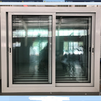 Fenêtres Coulissantes UPVC/PVC à Simple ou Double Vitrage avec Verre Anti-Ouragan, Insonorisées et Coupe-Vent
