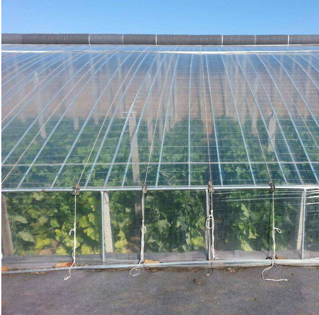 200 Micron UV Protection PE Clear Plastic Poly Sheeting Greenhouse Plastic Film