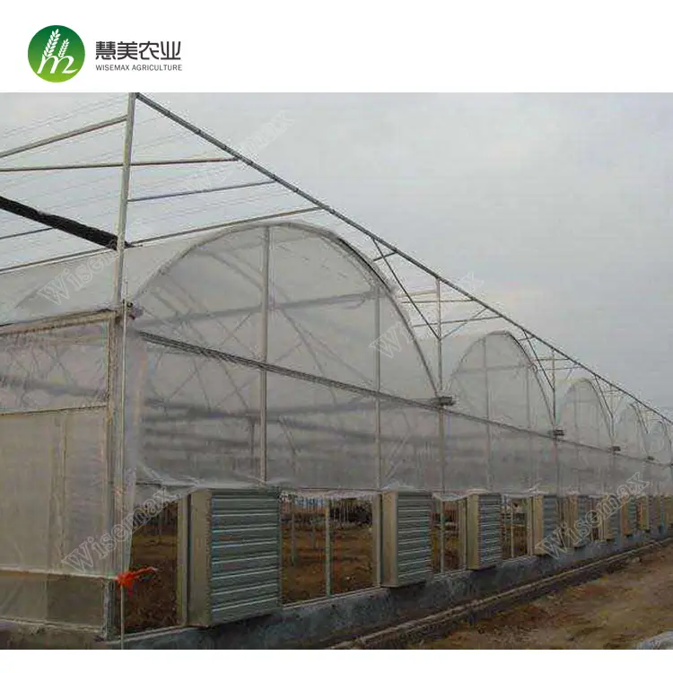 Low price multi span double layer plastic poly film greenhouses