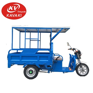 Energia solare 3 <span class=keywords><strong>ruote</strong></span> cargo <span class=keywords><strong>bike</strong></span> con <span class=keywords><strong>tre</strong></span> <span class=keywords><strong>ruote</strong></span> triciclo in vendita - Product Image 5