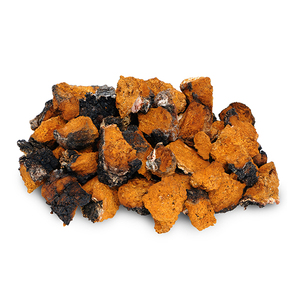 OEM الصين مسحوق مستخلص من النبات استخراج Chaga - Product Image 2