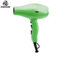 RONGGUI Professional Compact Design 2300W Superpower 2 Speeds Salon Hair Dryer For Electric Hair Dryer