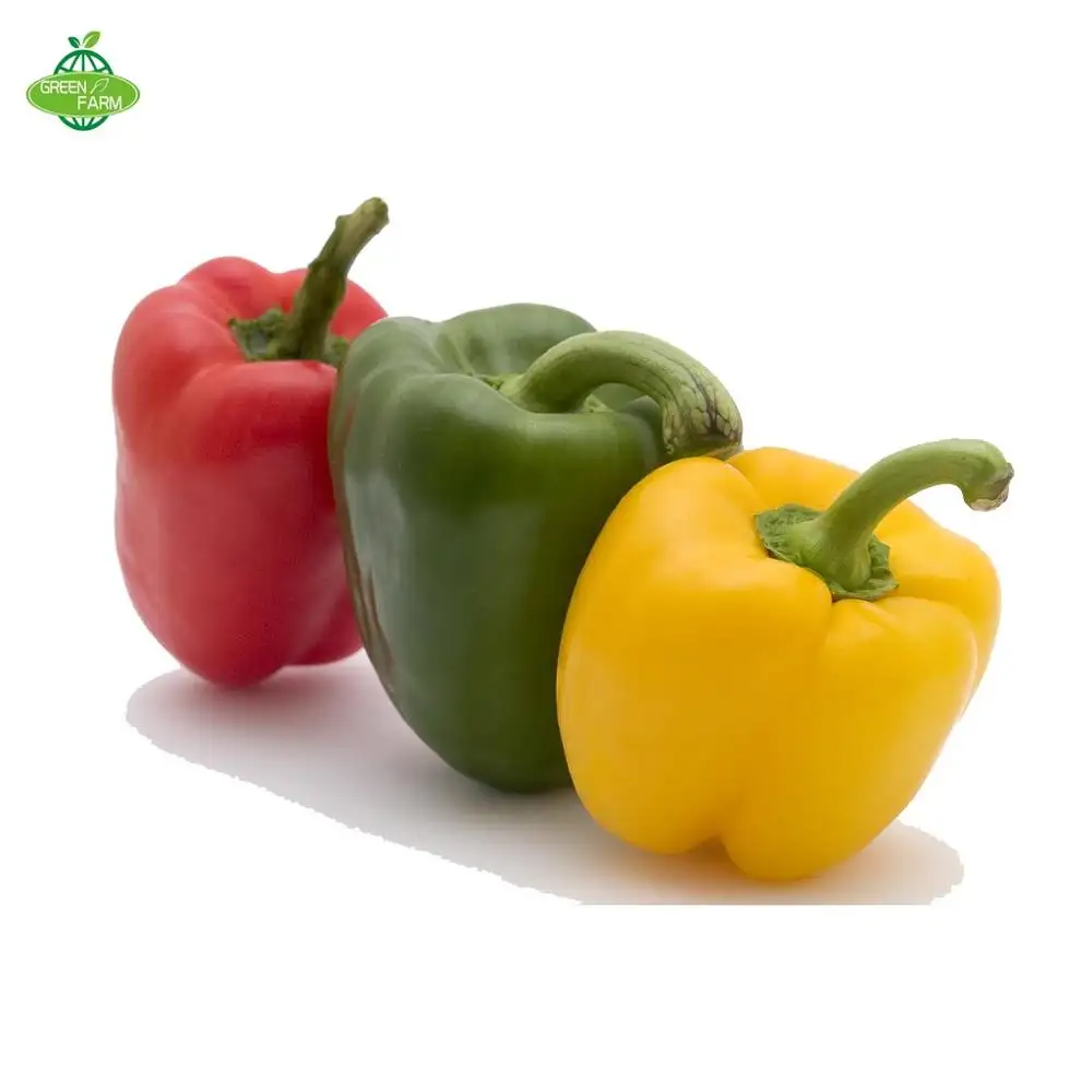 Warna Segar Paprika/Bell Pepper/Warna Hijau Paprika Merah