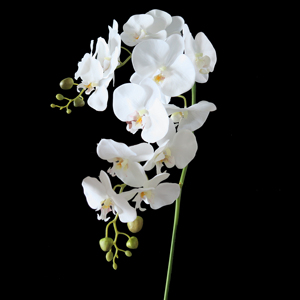 Flor de Margarita de seda orquídea para decoración de interiores, 2019 - Product Image 4