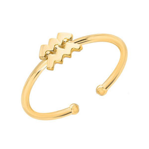 Chevalière en acier inoxydable plaqué or 18K, anneau de doigt minimaliste, zodiaque, Non polissage, tendance, bijoux pour cadeaux, 1 pièce - Product Image 4