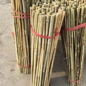 Tonkin palitos de bambú bastones agitadores de bebidas para Hotel y Bar