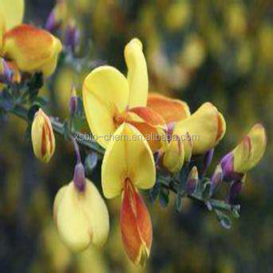 Extracto de Genisteína Xin Sheng de Alta Calidad, Grado Alimenticio Kosher GMP, <span class=keywords><strong>Genista</strong></span> Tinctoria, Probado por HPLC, 98% 80 Mesh, Extraído por Solvente - Product Image 5