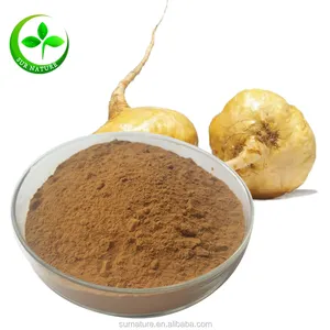 100% บริสุทธิ์ Maca ผงในกลุ่ม