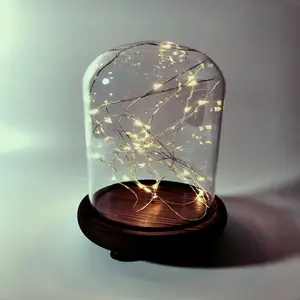 Pote de campainha de vidro pequeno, domo de vidro com base de madeira \ de borboleta fechadura de vidro transparente decorativo