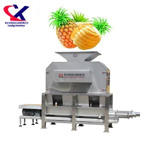 Machine industrielle d'extraction de jus d'ananas, extracteur de jus