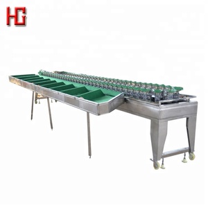 Yüksek kaliteli meyve seçme makinesi/sıralama masa bantlı konveyör/mango seçim makinesi - Product Image 1