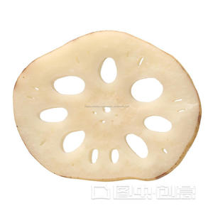 Alta Benefici Verdure Fresche Cibo Radice di Loto - Product Image 4