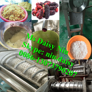 Máy Ép Trái Cây Gừng Thương Mại/Máy Ép Trái Cây Rau Mùi Tây/Máy Ép Sữa Dừa - Product Image 6