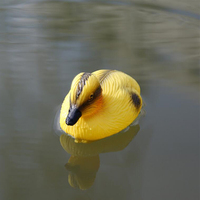 Conception de chasse en plastique petit leurre de canard caneton jaune leurres