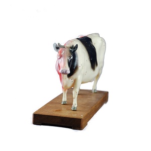 Modèle d'anatomie animale avancé en plastique pour l'acupuncture, modèle de corps animal pour l'acupuncture, modèle de vache pour l'acupuncture - Product Image 5