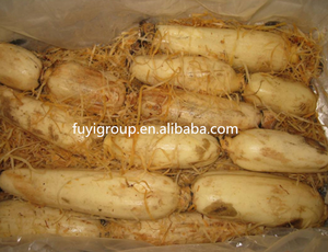 Свежие корни лотоса, цены на экспорт - Product Image 6