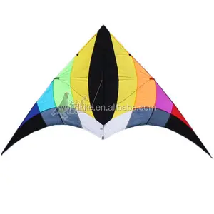 colorful delta wing fly kite