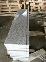 Pierre de pavage extérieure Granit liquide flammé
