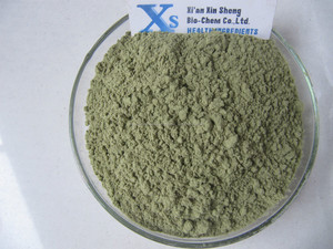Barley grass pintura en polvo/pintura en polvo de jugo de cebada de alta calidad fabricante gmp & kosher - Product Image 1